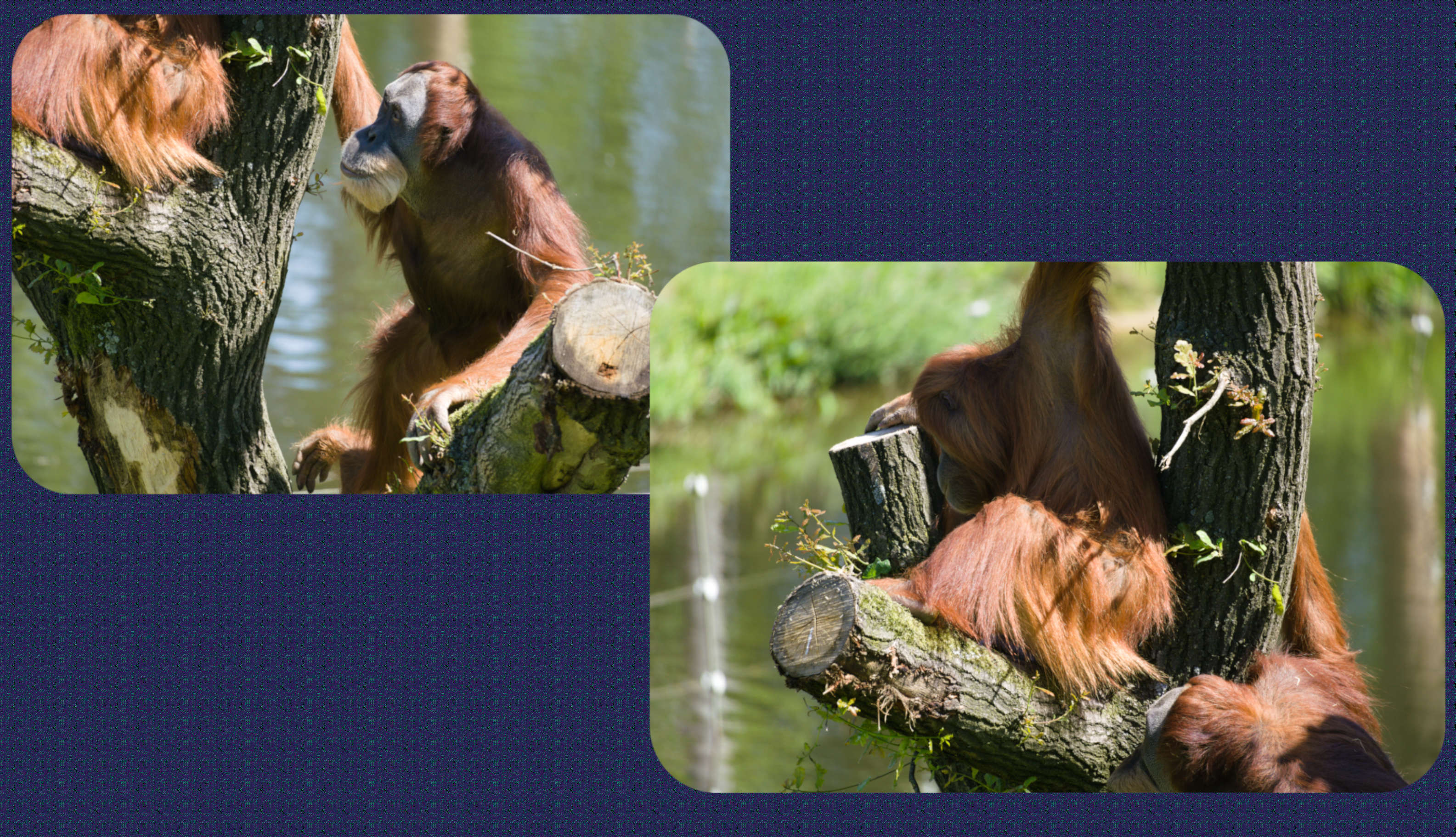 ZOOM Erlebniswelt